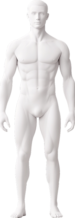 Team View Body Front Image